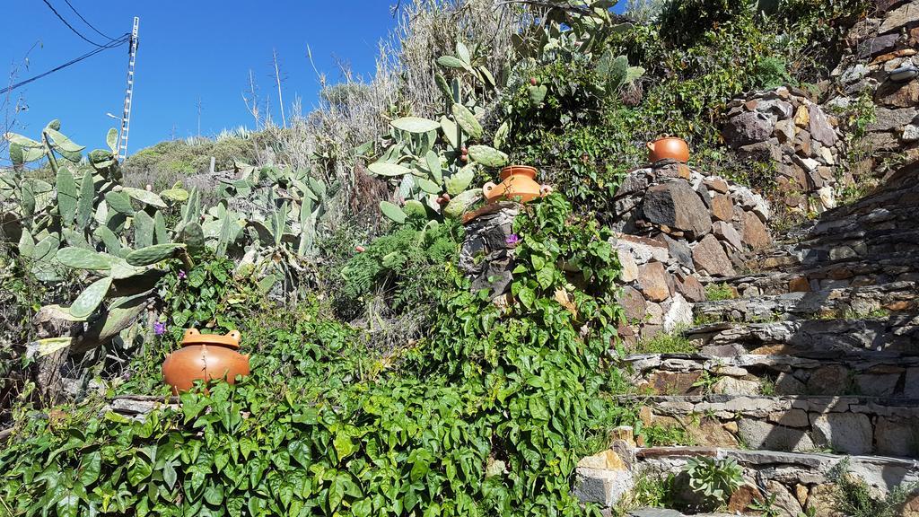 Casa Rural - Laendliches Haus, Pepita La De Las Flores Tejeda Kültér fotó