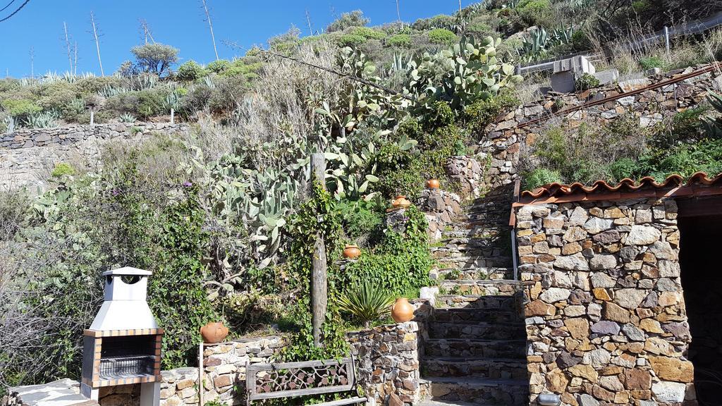 Casa Rural - Laendliches Haus, Pepita La De Las Flores Tejeda Kültér fotó