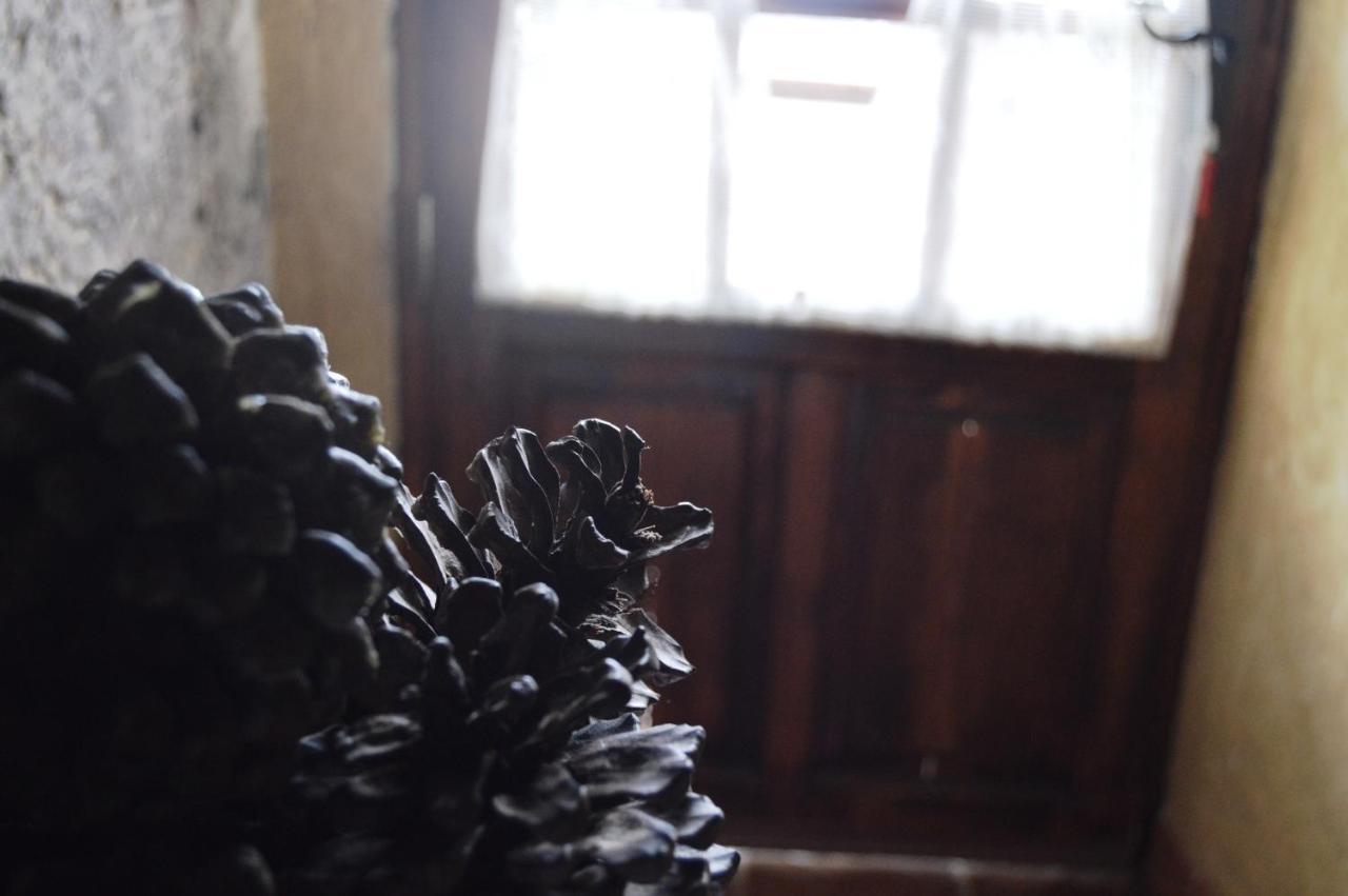 Casa Rural - Laendliches Haus, Pepita La De Las Flores Tejeda Kültér fotó
