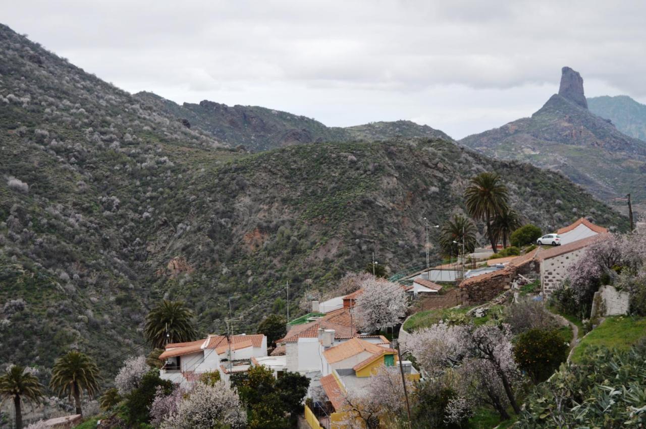 Casa Rural - Laendliches Haus, Pepita La De Las Flores Tejeda Kültér fotó